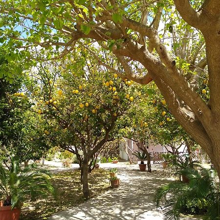 Residence Limoneto Ischia Forio di Ischia المظهر الخارجي الصورة