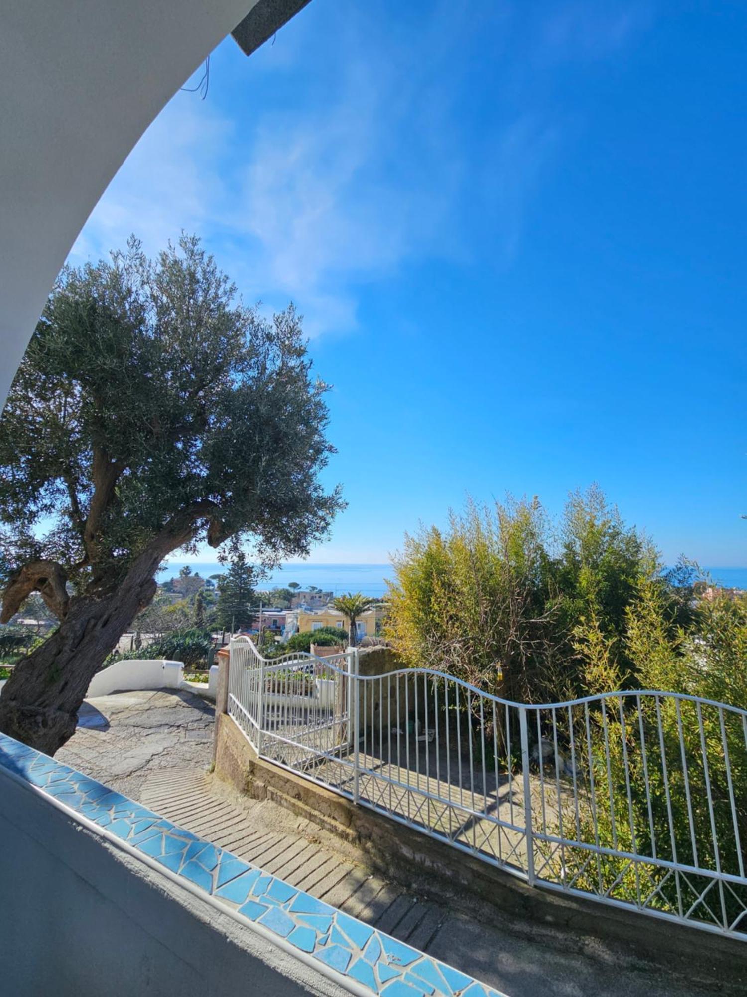 Residence Limoneto Ischia Forio di Ischia المظهر الخارجي الصورة