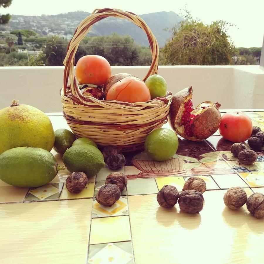 Residence Limoneto Ischia Forio di Ischia المظهر الخارجي الصورة