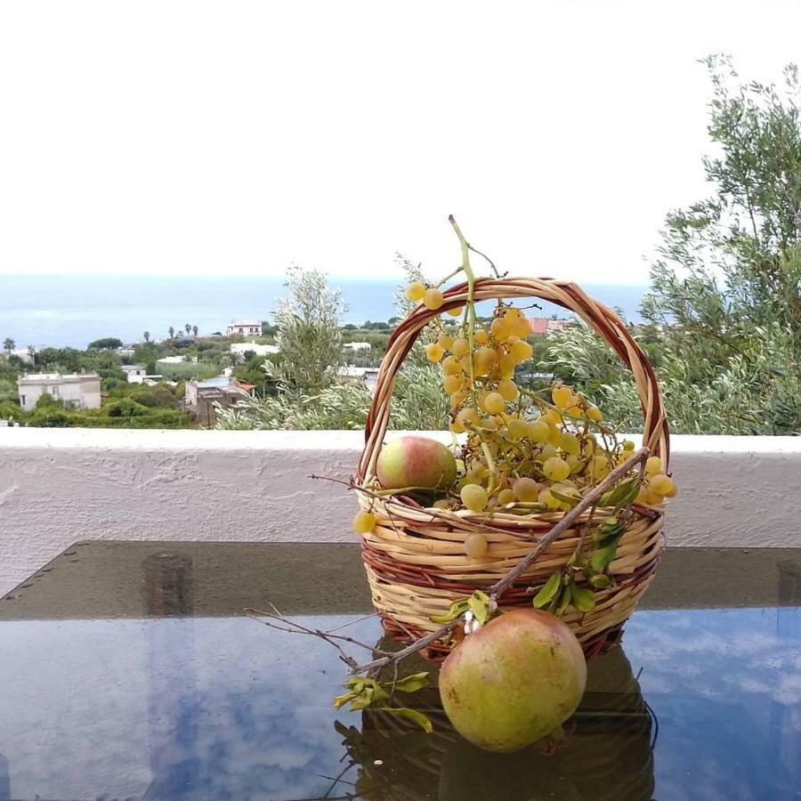 Residence Limoneto Ischia Forio di Ischia المظهر الخارجي الصورة