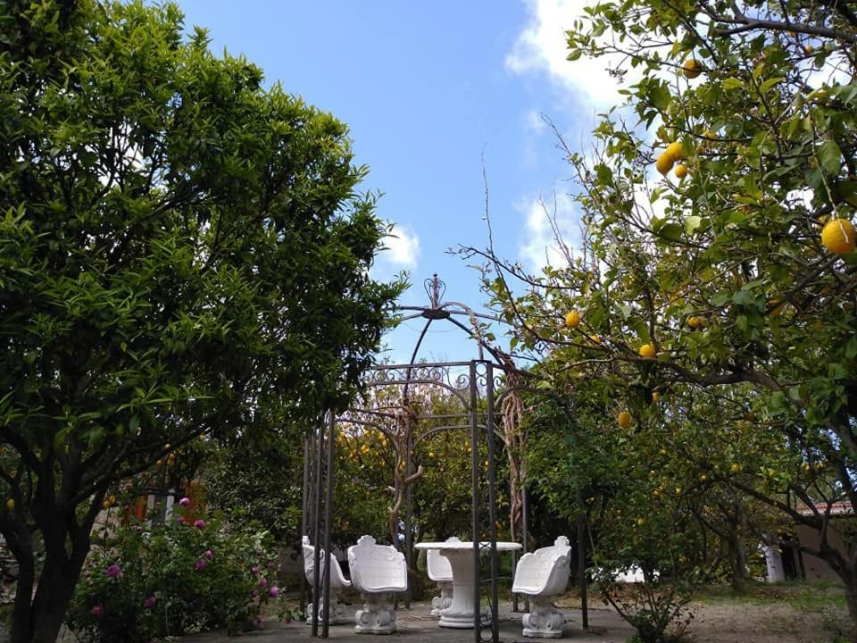 Residence Limoneto Ischia Forio di Ischia المظهر الخارجي الصورة